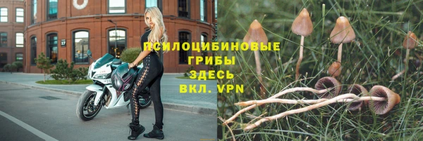 кокаин премиум Богданович