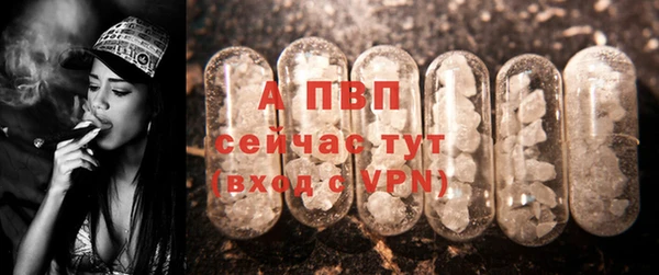 ГАЛЛЮЦИНОГЕННЫЕ ГРИБЫ Богородицк