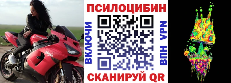 наркотики  shop формула  Галлюциногенные грибы мицелий  Видное 