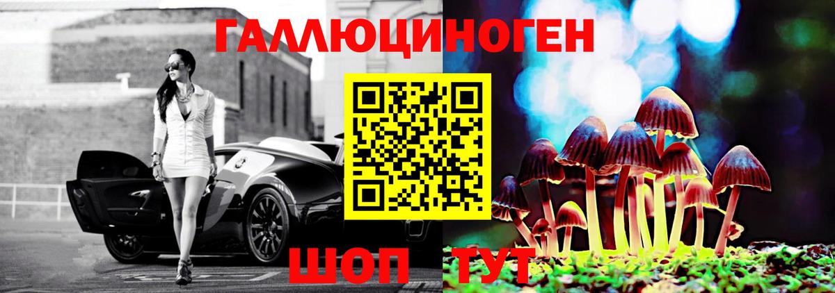 Видное  наркотики  Псилоцибиновые грибы Cubensis  Вход с VPN  Псилоцибиновые грибы Psilocybine cubensis 